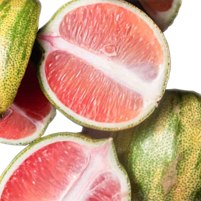 【2本セット】新美(アラビ)ピンクレモンシロップ350ml(希釈用)